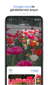 Google Fotoğraflar screenshot