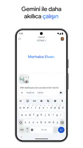 Google Gemini screenshot