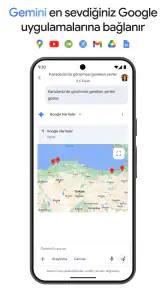 Google Gemini screenshot