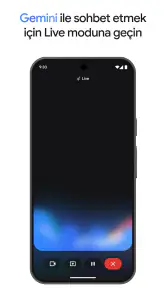 Google Gemini screenshot