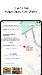 Google Haritalar 8