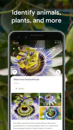 Google Lens 4