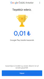 Google Ödüllü Anketler 4