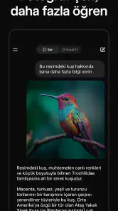 Grok - Yapay Zeka Asistanı screenshot