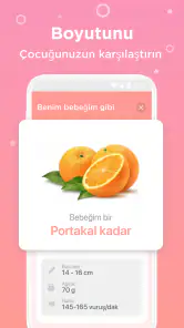 Gün Gün Hamilelik Takibi BI screenshot