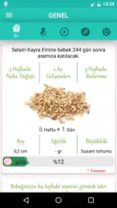 Hafta Hafta Gebelik Takibi screenshot