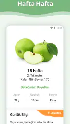 Hamilelik 1
