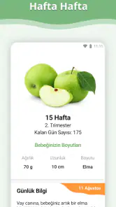 Hamilelik screenshot