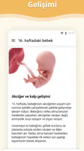 Hamilelik screenshot