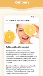 Hamilelik 8
