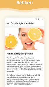 Hamilelik screenshot