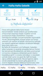 Hamilelik Takibi 3