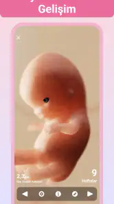 Hamilelik + | takip uygulaması screenshot