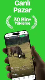 Haysat 1