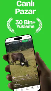 Haysat screenshot