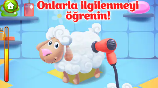 Hayvan Çiftliği Çocuk Oyunları 3