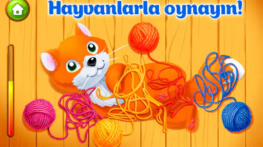 Hayvan Çiftliği Çocuk Oyunları 5