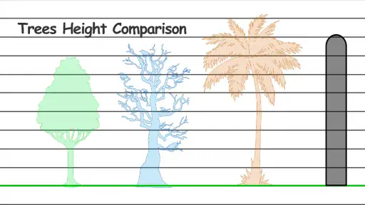 Height Measurement App 6