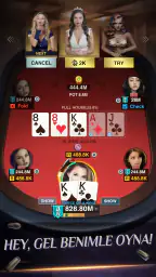 Holdem or Foldem - Texas Poker 2