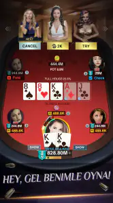 Holdem or Foldem - Texas Poker screenshot