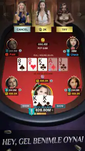 Holdem or Foldem - Texas Poker screenshot
