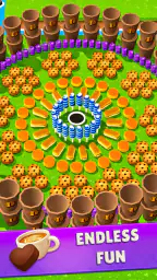 Hole Craze: Puzzle Game 4