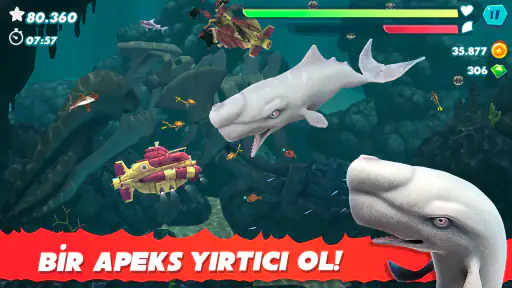 Hungry Shark Evolution 4