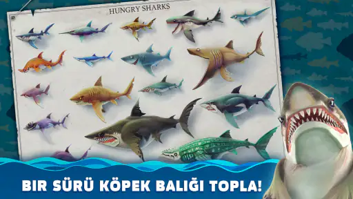 Hungry Shark World 2
