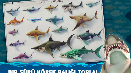 Hungry Shark World 8