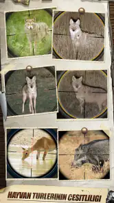 Hunting Sniper screenshot
