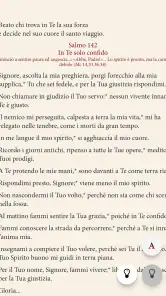 Il Libro delle Ore screenshot