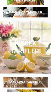 İnternetsiz Yemek Tarifleri SE screenshot