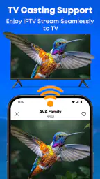 IPTV Player - HD Online TV 5