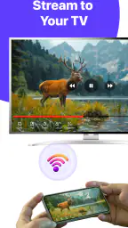 IPTV PLAYER & Smart TV 6