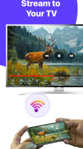IPTV PLAYER & Smart TV screenshot
