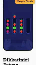 IQ Masters: Beyin Egzersizleri 4