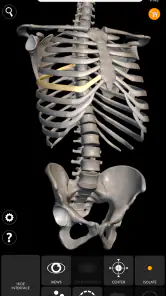 İskelet 3D Anatomisi screenshot