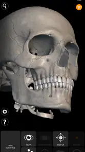 İskelet 3D Anatomisi screenshot