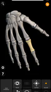 İskelet 3D Anatomisi screenshot