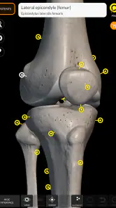 İskelet 3D Anatomisi screenshot