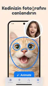 Kedi Tercüman – Hayvan Dili screenshot