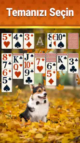 Klasik Solitaire - 2026 screenshot