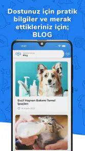 Kolayvet screenshot
