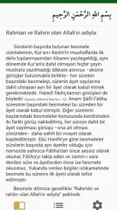 Kur'an-ı Kerim: Meal ve Tefsir screenshot