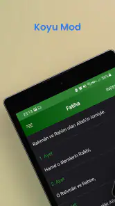 Kuran Meali İnternetsiz screenshot