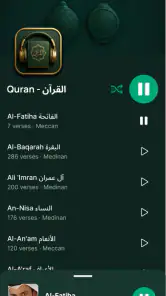 Kur&#39;an Oynatıcı Sesli screenshot