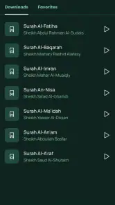 Kur&#39;an Oynatıcı Sesli screenshot