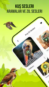 Kuş Sesleri screenshot