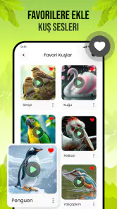 Kuş Sesleri screenshot