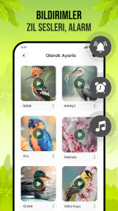 Kuş Sesleri screenshot